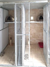 Cattery Facilities at Lakeside Kennels & Cattery, Dungloe, Co. Donegal, Ireland with spacious accommodation and outside exercise facilities
