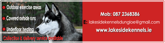 Outdoor exercise areas, Covered outside runs, Underfloor heating - Mob: 087 2368386, Email: lakesidekennelsdungloe@gmail.com, Lakeside Kennels, Dungloe, County Donegal, Ireland