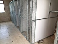 Cattery Facilities at Lakeside Kennels & Cattery, Dungloe, Co. Donegal, Ireland with spacious accommodation and outside exercise facilities