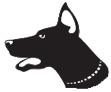 Drawing of a dog Drawing of a dog