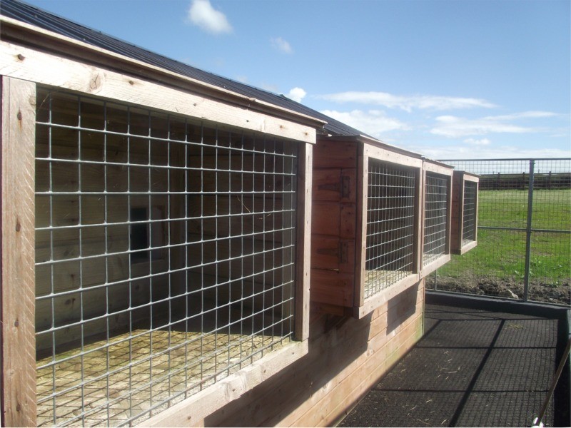 Outside view of Lakeside Kennels & Cattery, Dungloe, Co. Donegal, Ireland